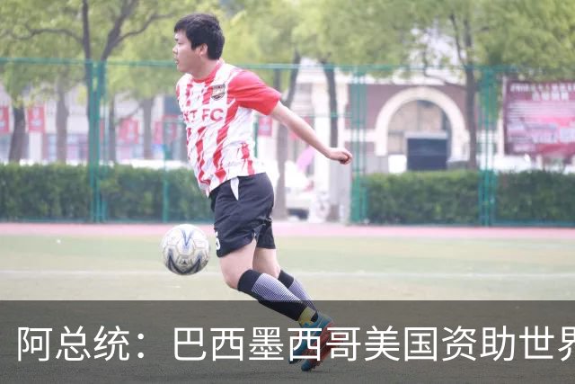 阿总统：巴西墨西哥美国资助世界杯期间“反阿根廷运动”